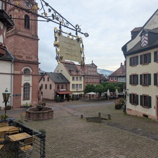 PXL_20251101_072250180