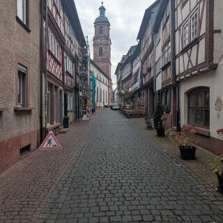 PXL_20251101_075139446