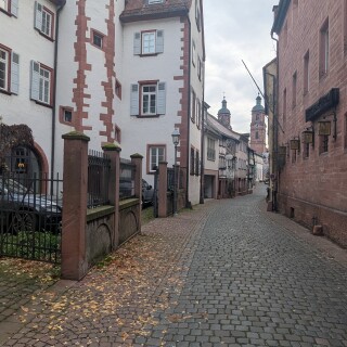 PXL_20251101_075324351