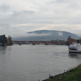 PXL_20251101_075544967