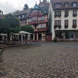 PXL_20251101_075853912