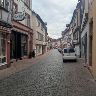 PXL_20251101_080002695