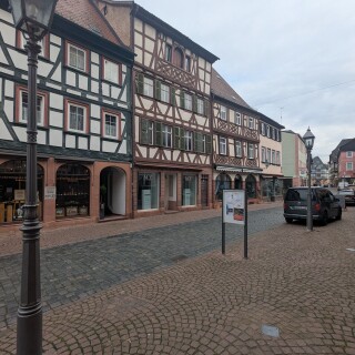 PXL_20251101_080131972