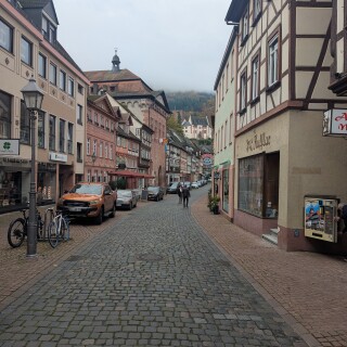 PXL_20251101_080305624