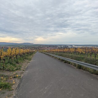 PXL_20251101_115725481