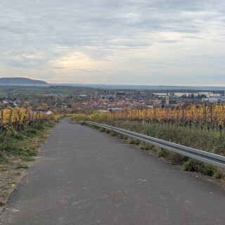 PXL_20251101_115728079