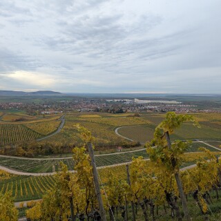 PXL_20251101_121715273